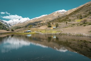 爸爸在哪儿：探索亲子关系的温暖旅程与教育启示